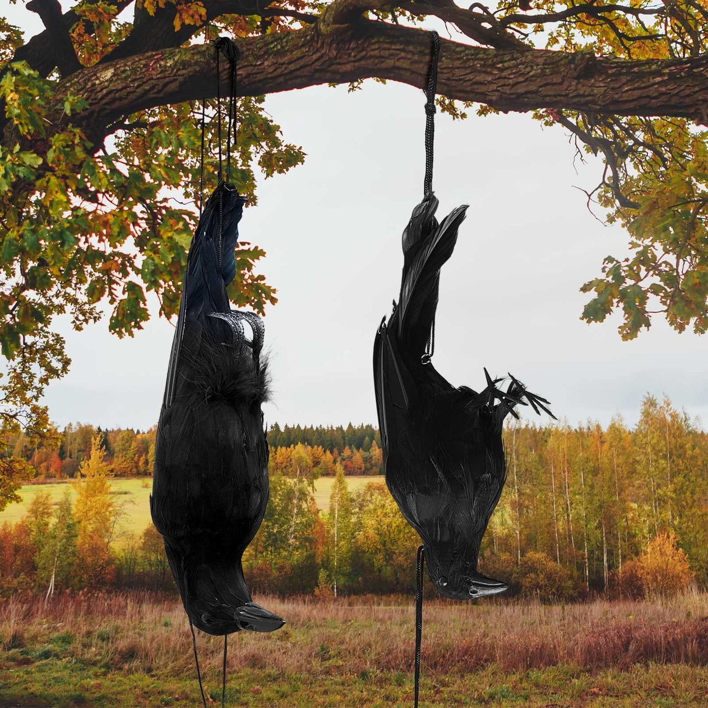 TETOU Halloween Realistic Hanging Dead Crows Decoy Fake Crows for Halloween Garden Tree Porch Terrify Decorations
