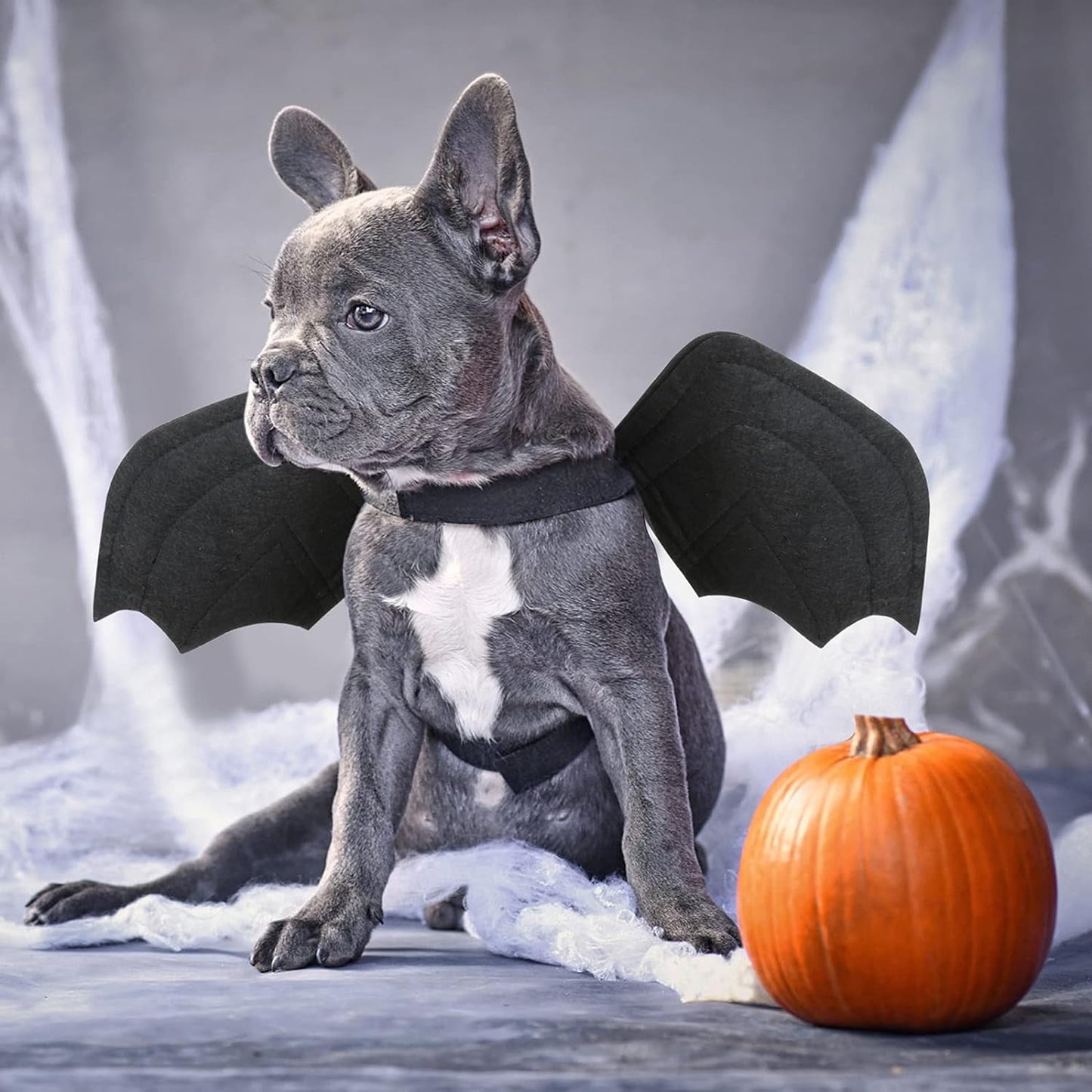 TETOU Dog Halloween Costume, Halloween Bat Fairy Wings Pet Harness Costumes for Dogs Cats Hallowe'en Party