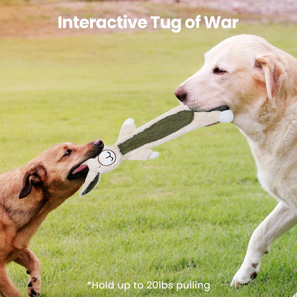 TETOU 2Pcs Squeaky Dog Toys, No Stuffing Crinkle Dog Toys, Interactive Dog Toy for Aggressive Chewers Large Medium Small Dogs