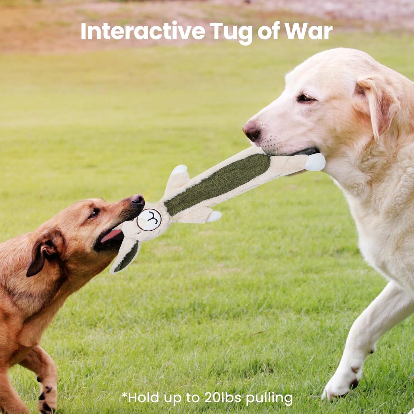 TETOU 2Pcs Dog Chew Toys for Aggressive Chewers,No Stuffing Crinkle Squeaky Dog Toys for Large Medium Puppy (Bunny & Sloth)