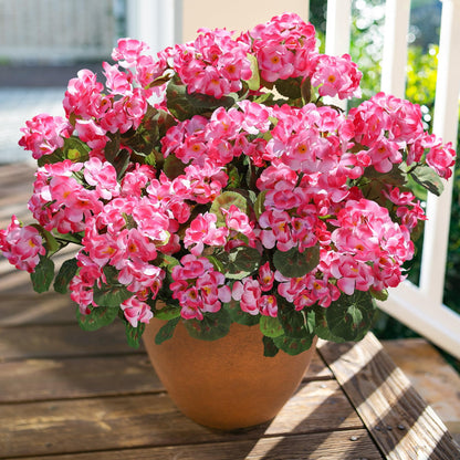 TETOU 6pcs Outdoors Artificial Fake Geranium Flowers, UV Resistant Faux Silk Geranium Flowers for Spring Summer Outside Planter Garden Home Yard Kitchen Table Centerpieces Decoration(Pink)