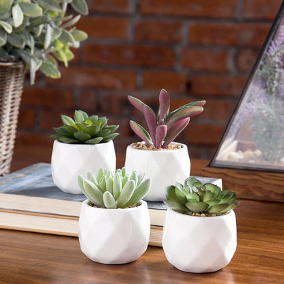 TETOU Miniature Artificial Succulents Indoor Small Fake House Plants in Round White Geometric Ceramic Pots Set of 4