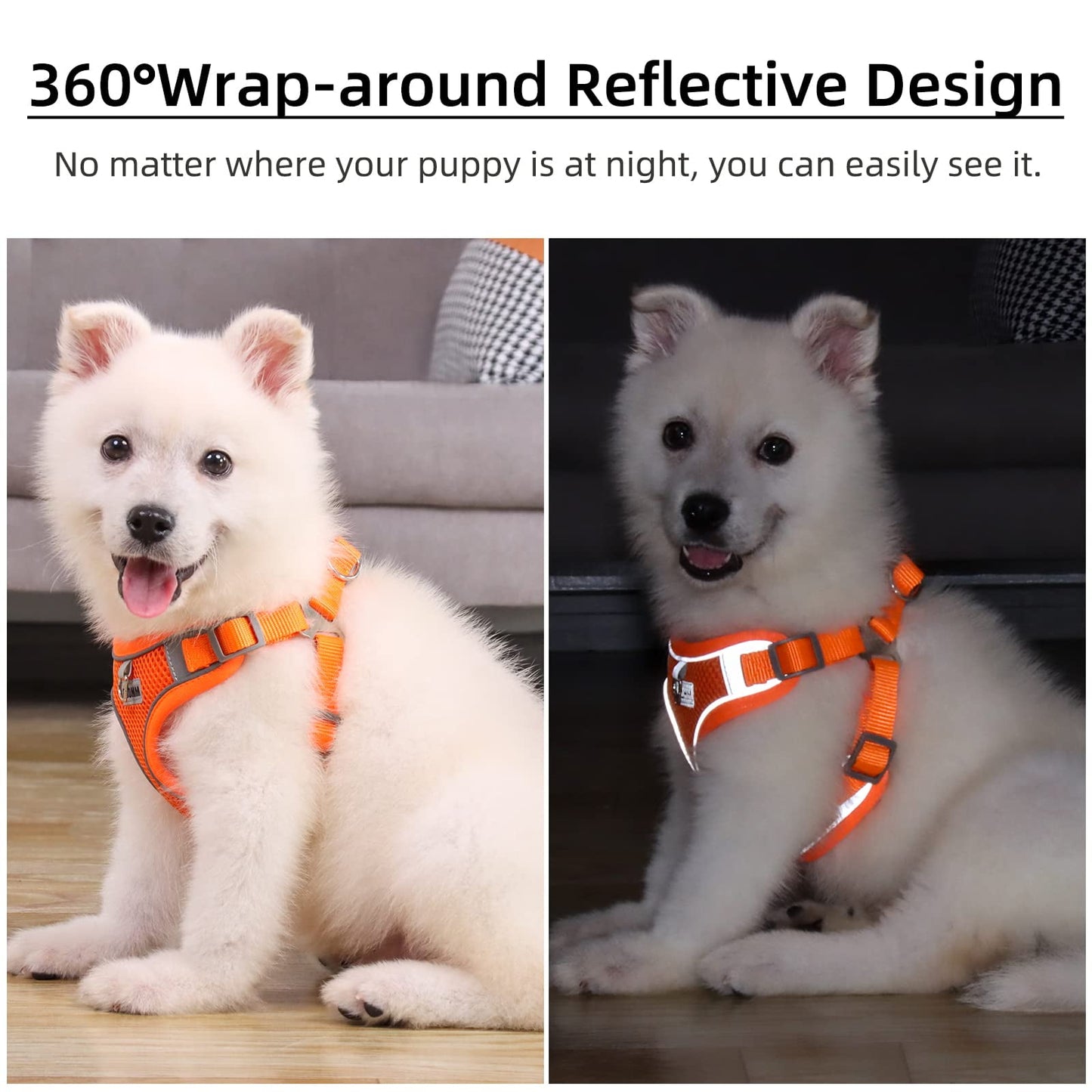 TETOU Reflective Dog Harness and Leash Set, No-Pull Pet Harness Adjustable Mesh, Ultra Breathable Padded Dog Vest Harness for Small Medium Dogs