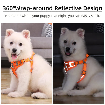 TETOU Reflective Dog Harness and Leash Set, No-Pull Pet Harness Adjustable Mesh, Ultra Breathable Padded Dog Vest Harness for Small Medium Dogs