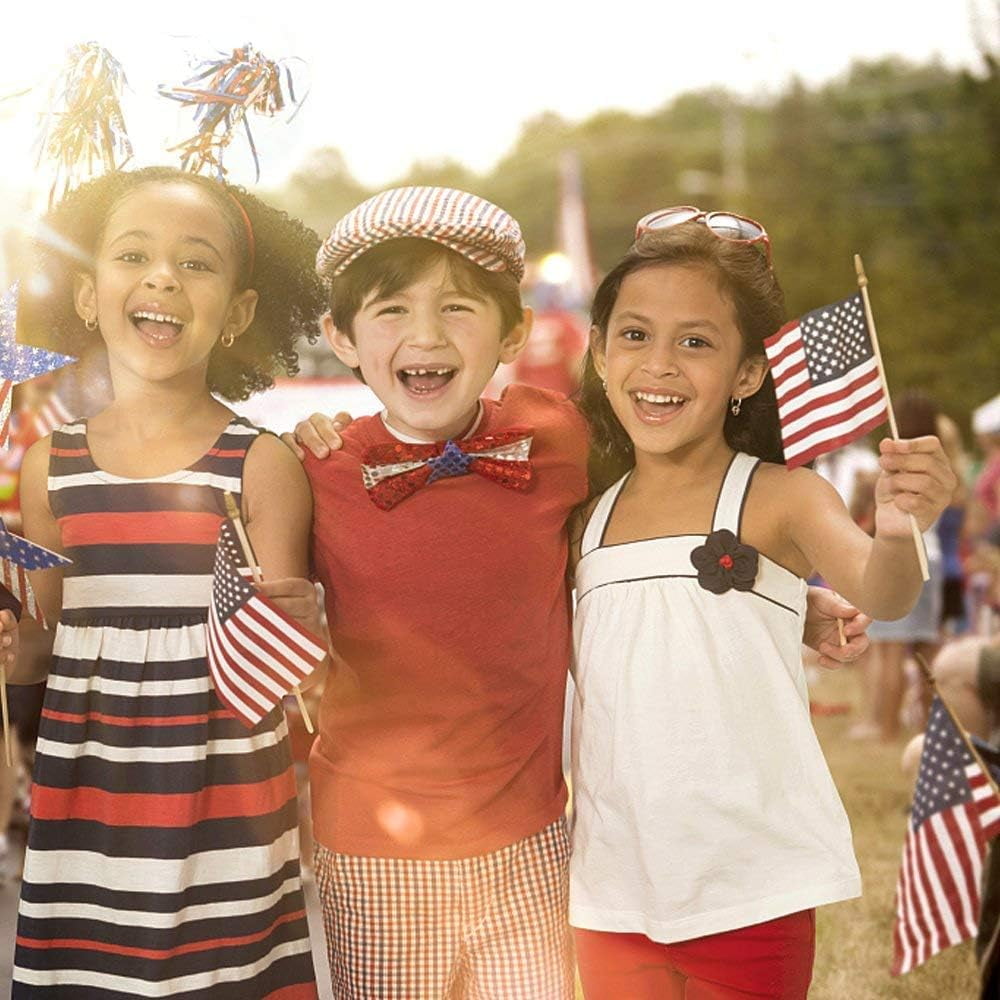 TETOU 50 Pack Small American Flags on Stick,4x6 Inch Small US Flags/Mini American Flags for Outside,American Hand Held Stick Flags for 4th of July Memorial day Patriotic Veterans Decoration