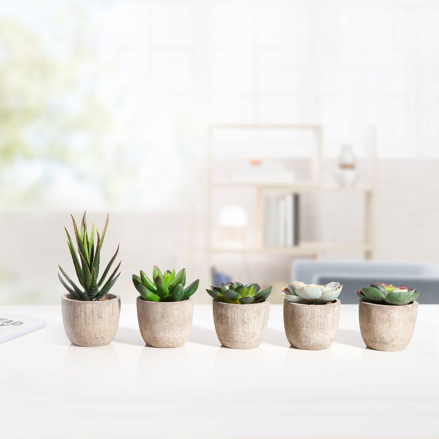 GUISANTO Fake Plants Artificial Succulent Plants Assorted Decorative Faux Succulent Potted Fake Cactus Cacti Plants Gray Pots, Set of 5