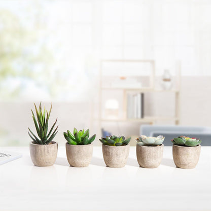 GUISANTO Fake Plants Artificial Succulent Plants Assorted Decorative Faux Succulent Potted Fake Cactus Cacti Plants Gray Pots, Set of 5