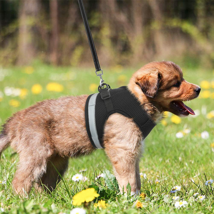 TETOU Cat Harness and Leash Set for Walking Adjustable Vest with Reflective Strap for Pet Kitten Puppy