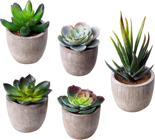 GUISANTO Fake Plants Artificial Succulent Plants Assorted Decorative Faux Succulent Potted Fake Cactus Cacti Plants Gray Pots, Set of 5
