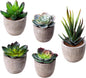 GUISANTO Fake Plants Artificial Succulent Plants Assorted Decorative Faux Succulent Potted Fake Cactus Cacti Plants Gray Pots, Set of 5