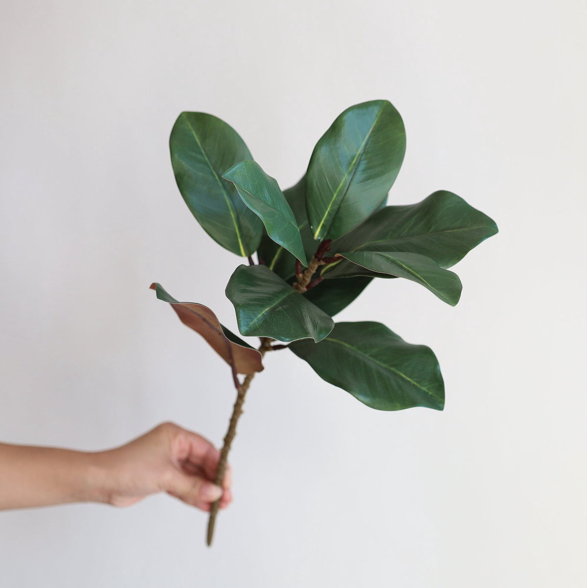 TETOU 3 Pcs Artificial Magnolia Leaves Branches, 21.7" Fake Magnolia Greenery Stems Faux Plants for Outdoor Indoor Table Home Vase Filling Party Wedding Christmas Decorations