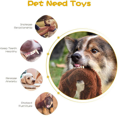 TETOU 5 Pcs Dog Squeak Toys,No Stuffing Plush Dogs Chew Toy for Small Medium Large Breed Chewer,Squeaky Pet Supplies Durable Puppy Teething Chewing Interactive to Keep Them Busy Best Birthday Gift