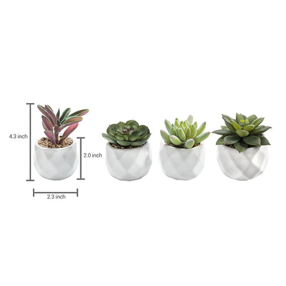 TETOU Miniature Artificial Succulents Indoor Small Fake House Plants in Round White Geometric Ceramic Pots Set of 4