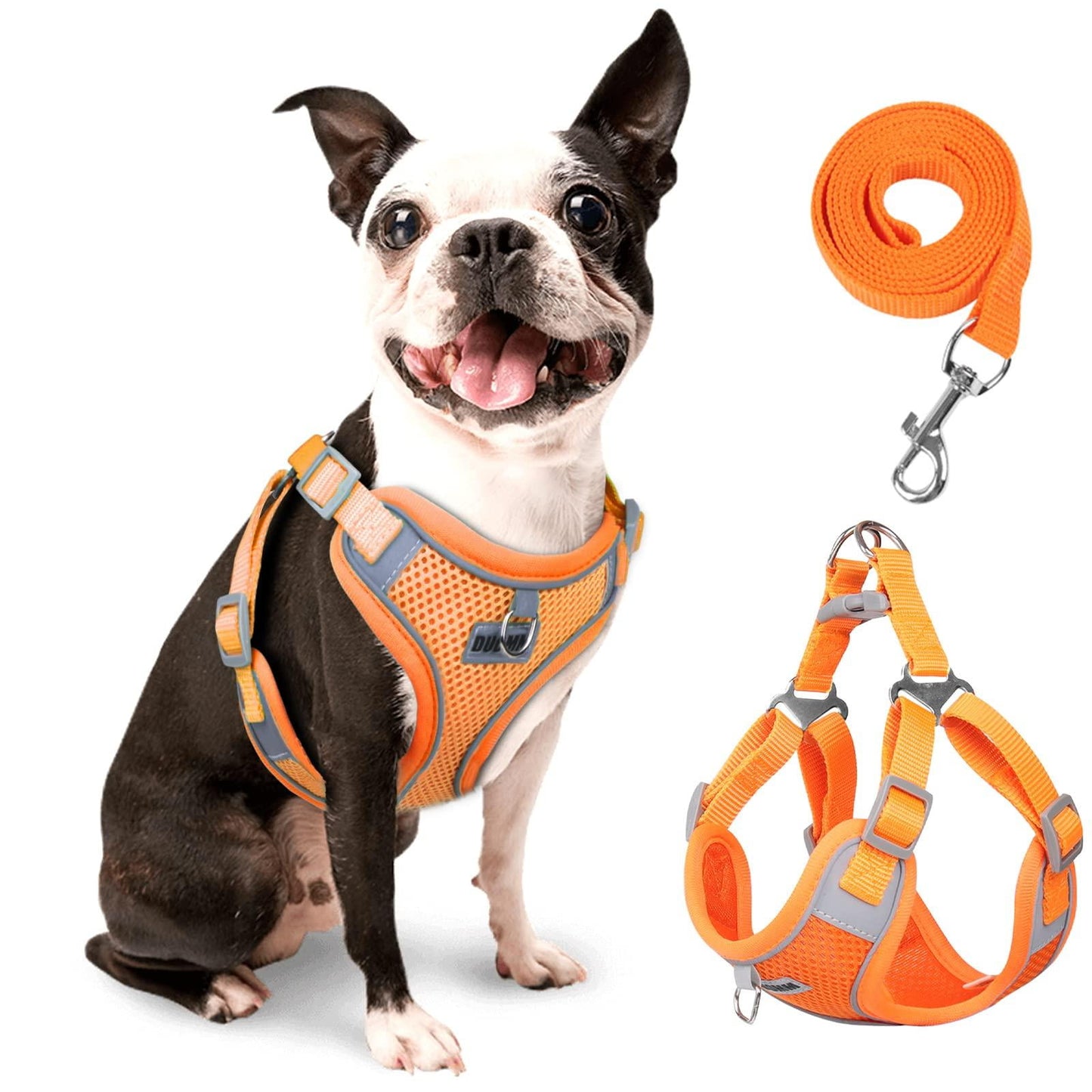TETOU Reflective Dog Harness and Leash Set, No-Pull Pet Harness Adjustable Mesh, Ultra Breathable Padded Dog Vest Harness for Small Medium Dogs
