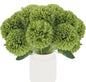 TETOU 12 Pcs Black Artificial Chrysanthemums Flowers,Fake Silk Mums Flowers for Fall Autumn Halloween Home Indoor Floral Arrangement Table Centerpiece Decorations