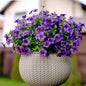 TETOU 12Pcs Artificial Fake Fall Plants Flowers for Outdoor Decoration,Faux Silk Colorful Daisy UV Resistant No Fade for Front Door Porch Patio Yard Balcony Autumn Decor(Mix color)