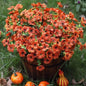 TETOU 12Pcs Artificial Fake Fall Plants Flowers for Outdoor Decoration,Faux Silk Colorful Daisy UV Resistant No Fade for Front Door Porch Patio Yard Balcony Autumn Decor(Mix color)