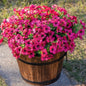 TETOU 12Pcs Artificial Fake Fall Plants Flowers for Outdoor Decoration,Faux Silk Colorful Daisy UV Resistant No Fade for Front Door Porch Patio Yard Balcony Autumn Decor(Mix color)