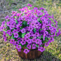 TETOU 12Pcs Artificial Plants Flowers, 13.8*7.5" Fake Silk Colorful Daisy Eucalyptus, UV Resistant Fake Flowers with Plastic Plants for Outside Home Porch Patio Window Yard Decor, Mix Color