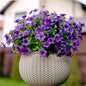 TETOU 12Pcs Artificial Plants Flowers, 13.8*7.5" Fake Silk Colorful Daisy Eucalyptus, UV Resistant Fake Flowers with Plastic Plants for Outside Home Porch Patio Window Yard Decor, Mix Color