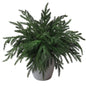 TETOU 12pcs Christmas Norfolk Pine Branches 18" Artificial Norfolk Pine Stem DIY Wreaths Home Decor