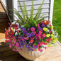 TETOU 13PCS Artificial Flowers for Outdoors Fake Flowers, UV Resistant No Fade Tall Ferns Silk Faux Petunias Flower for Spring Garden Balcony Yard Porch Indoor Outdoor Decoration(2 Color Mixed)