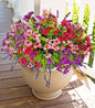 TETOU 18Pcs Artificial Flowers for Outdoor Decoration, UV Resistant No Fade Fake Silk Plastic Lavender Flowers for Front Door Garden Yard Balcony Fall Thanksgiving Halloween Farmhouse Decor(Orange)