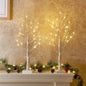 TETOU Valentines Day Easter Decor 2ft Birch Tree with LED Lights Fairy Light Spirit Tree for Home Indoor Table Mantel Battery Powered