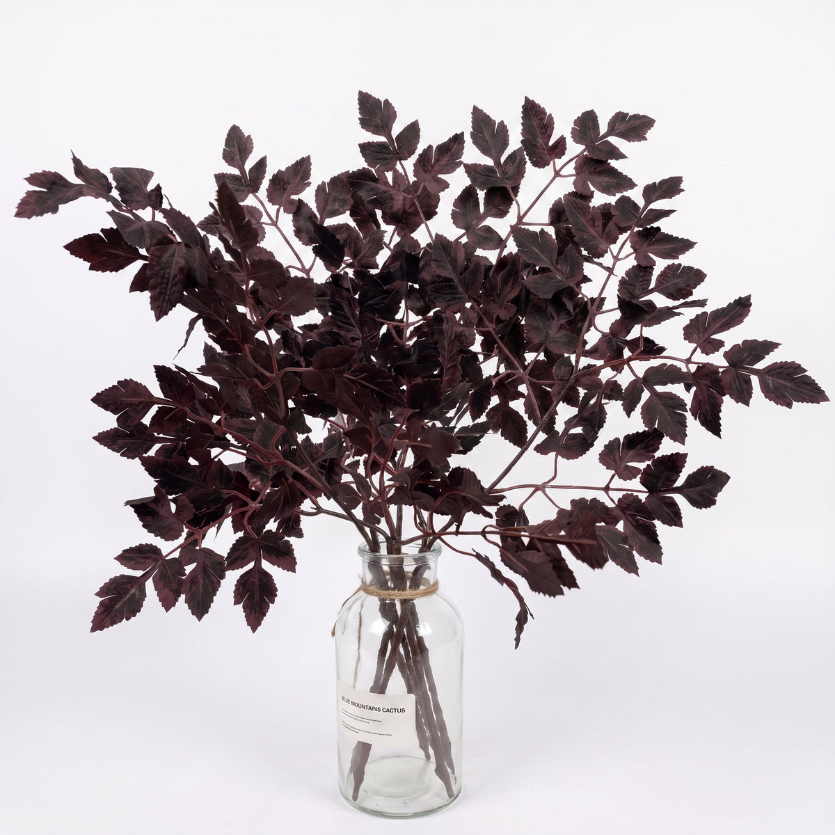 TETOU 6 Pcs 18" Artificial Cimicifuga Plant Leaf Stems,Fall Faux Plum Cimicifuga Ramosa Leaf Branch for Autumn Harvest Halloween Home Vase Wedding Farmhouse Table Mantel Decor