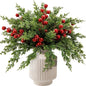 TETOU Christmas Artificial Pine Branches & Artificial Red Berry Stems, Norfolk Pine Needles Picks for DIY Christmas Decoration Xmas Garland Fake Greenery Decor Indoor