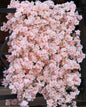 TETOU 23.6ft Flower Garland Artificial Cherry Blossom Hanging Vines for Spring Pink Home Room Wedding Party Kawaii Decor