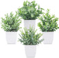 TETOU 4pcs Fake Plants Small Artificial Greenery Potted Plants Mini Simulation Eucalyptus for Home Office Table Decor