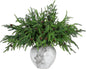 TETOU 6Pcs Norfolk Pine Branches with Pine Cones, 17.8"/45cm Artificial Xmas Norfolk Pine Branches for Christmas Indoor Outdoor Home Decor