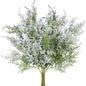 TETOU 6Pcs Snowy Artificial Cedar Picks Stems, 18.5" Frosted Faux Christmas Cedar Spray Greenery Branches for Holiday Season Floral Arrangement Centerpiece Winter Wedding Decorations