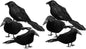 TETOU 6pcs Halloween Black Feathered Foam Crows Realistic Bird Halloween Ravens Decor Props