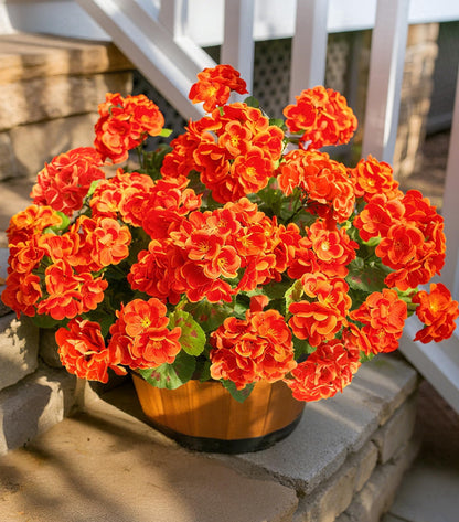 TETOU 6pcs Outdoors Artificial Fake Geranium Flowers, UV Resistant Faux Silk Geranium Flowers for Spring Summer Outside Planter Garden Home Yard Kitchen Table Centerpieces Decoration(Red)