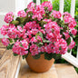 TETOU 6pcs Outdoors Artificial Fake Geranium Flowers, UV Resistant Faux Silk Geranium Flowers for Spring Summer Outside Planter Garden Home Yard Kitchen Table Centerpieces Decoration(Red)