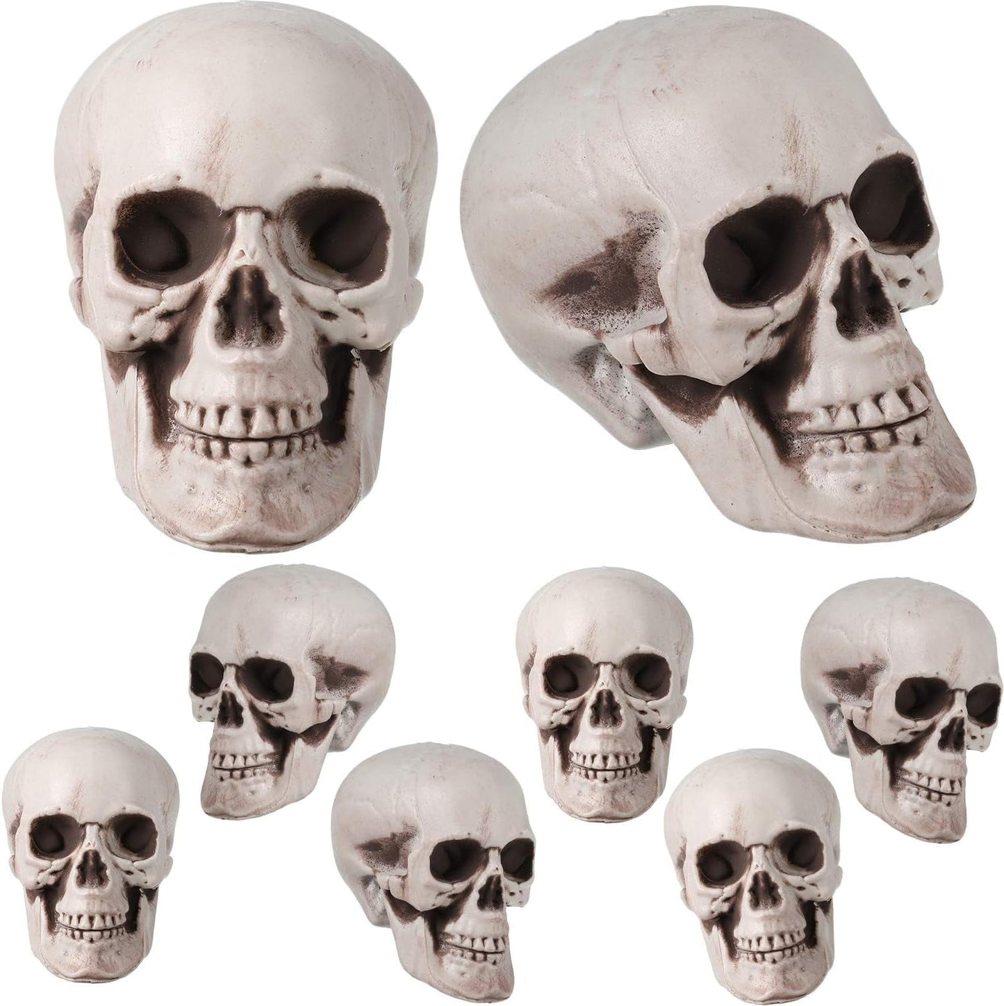 TETOU 8Pcs Halloween Skulls, Realistic Looking Skulls, 1.8*1.8*2.4 Inches Human Skeleton Head Skull for Halloween Bar Home Table Decoration