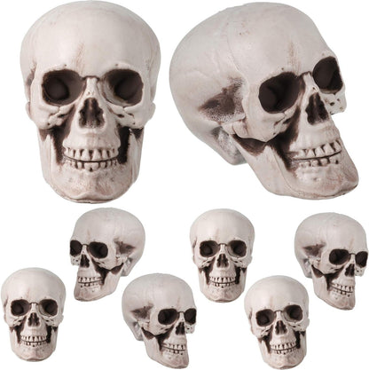 TETOU 8Pcs Halloween Skulls, Realistic Looking Skulls, 1.8*1.8*2.4 Inches Human Skeleton Head Skull for Halloween Bar Home Table Decoration