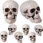 TETOU 8Pcs Halloween Skulls, Realistic Looking Skulls, 1.8*1.8*2.4 Inches Human Skeleton Head Skull for Halloween Bar Home Table Decoration