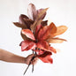 TETOU 3 Pcs Artificial Magnolia Leaves Branches, 21.7" Fake Magnolia Greenery Stems Faux Plants for Outdoor Indoor Table Home Vase Filling Party Wedding Christmas Decorations