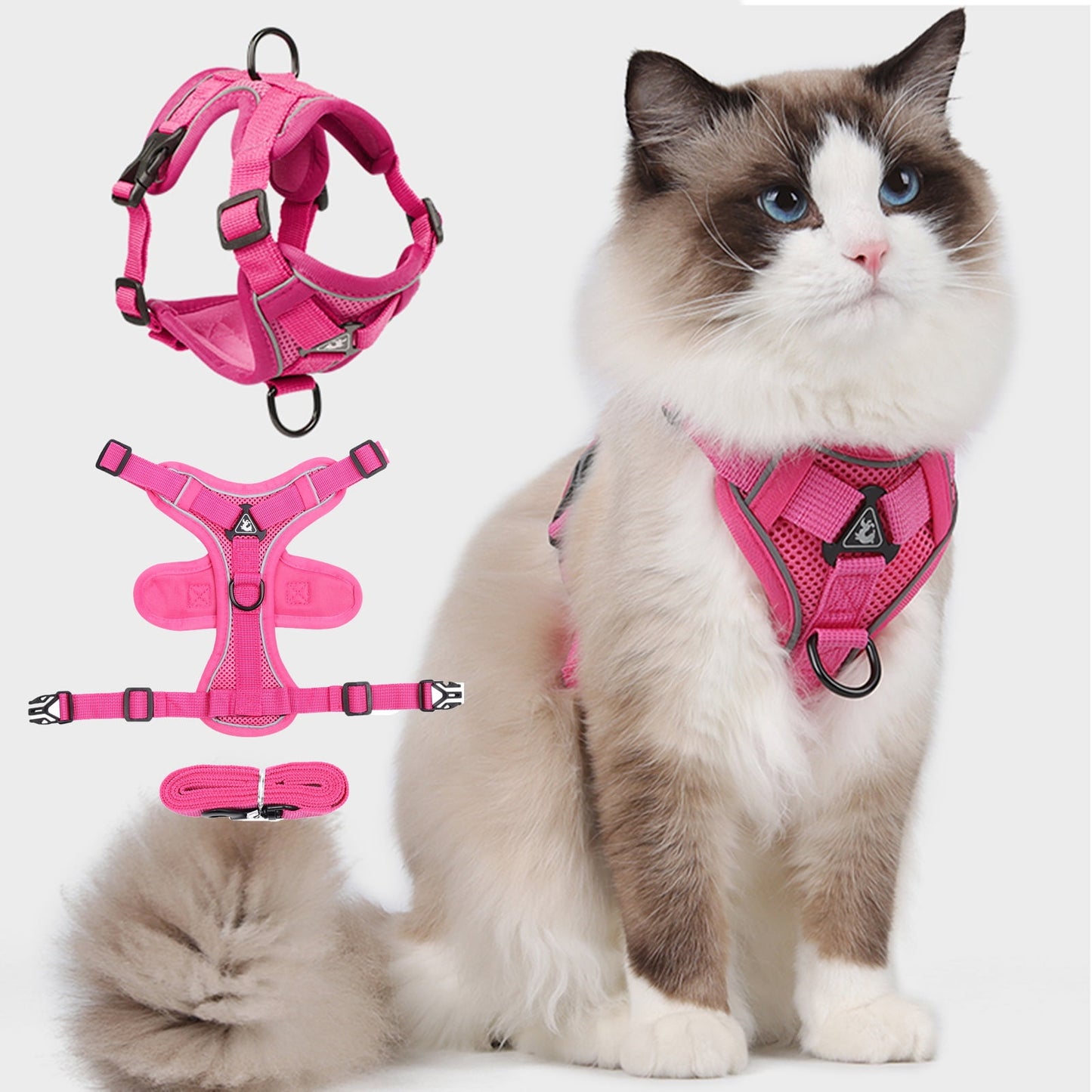 TETOU Cat Dog Harness and Leash, Escape Proof Soft Adjustable Vest Harnesses for Cats Dog, Easy Control Breathable Reflective Strips Jacket - Green,S