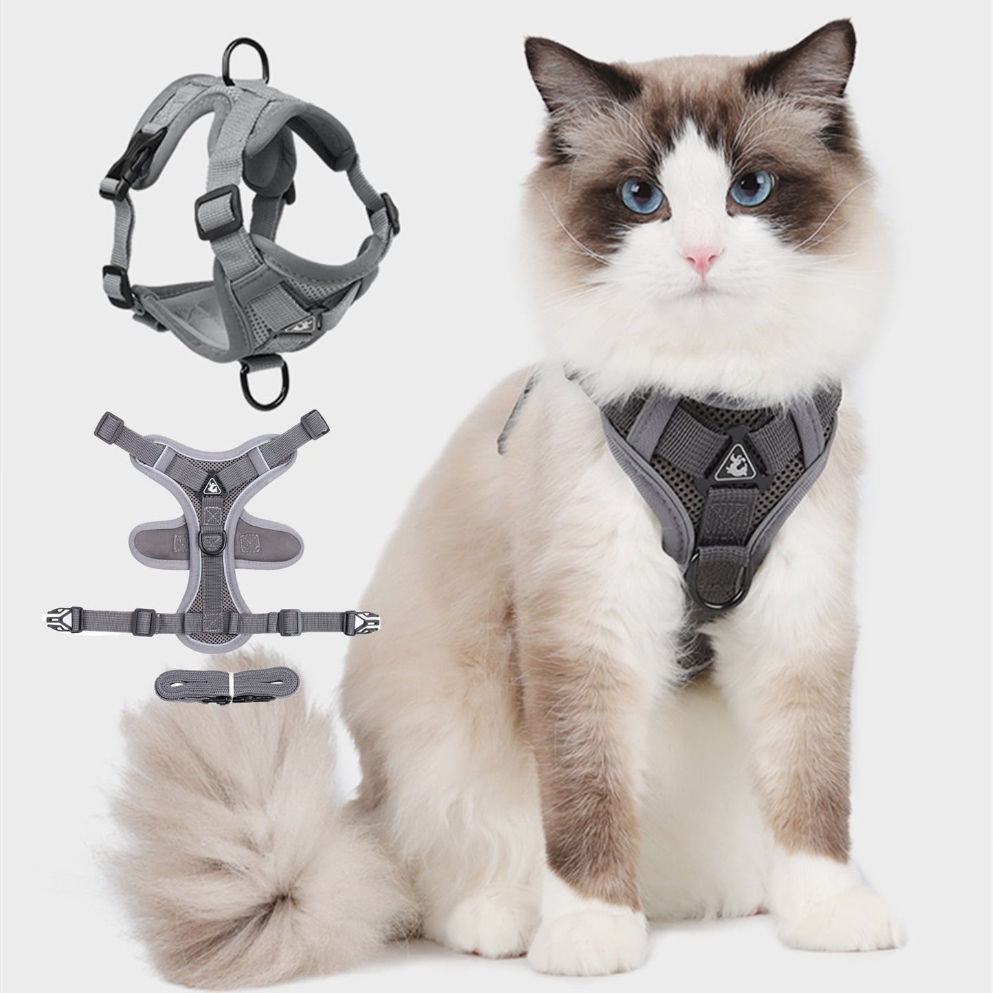 TETOU Cat Dog Harness and Leash, Escape Proof Soft Adjustable Vest Harnesses for Cats Dog, Easy Control Breathable Reflective Strips Jacket - Green,S