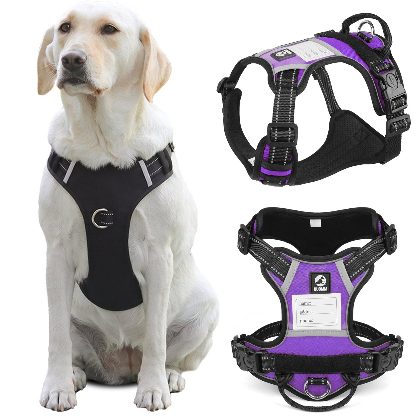 TETOU Dog Harness, No-Pull Pet Harness, Adjustable Reflective Soft Padded Dog Vest with Handle, Nameplate Design for DIY Name Phone Number Address, Suitable for Small Medium Large Dogs - Black M