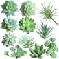 TETOU 15Pcs Mini Artificial Succulents Plants, Unpotted Faux Succulent Assortment Succulent, Faux Cactus Plant Bulk for DIY Indoor Outdoor Home Office Table Decor