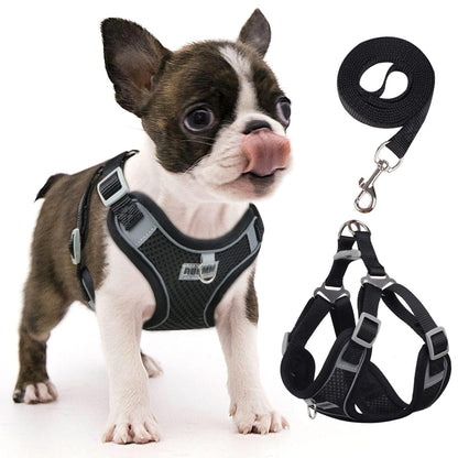 TETOU Reflective Dog Harness and Leash Set, No-Pull Pet Harness Adjustable Mesh, Ultra Breathable Padded Dog Vest Harness for Small Medium Dogs