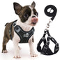 TETOU Reflective Dog Harness and Leash Set, No-Pull Pet Harness Adjustable Mesh, Ultra Breathable Padded Dog Vest Harness for Small Medium Dogs