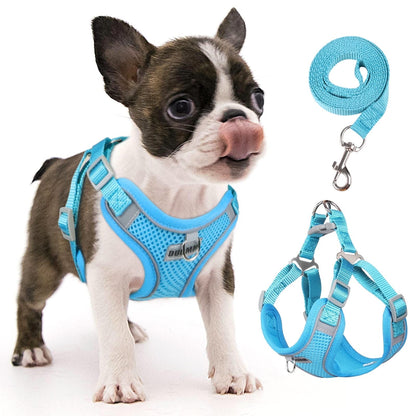 TETOU Reflective Dog Harness and Leash Set, No-Pull Pet Harness Adjustable Mesh, Ultra Breathable Padded Dog Vest Harness for Small Medium Dogs