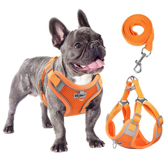 TETOU Reflective Dog Harness and Leash Set, No-Pull Pet Harness Adjustable Mesh, Ultra Breathable Padded Dog Vest Harness for Small Medium Dogs