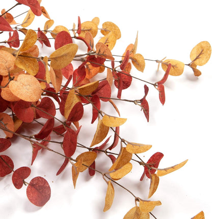 TETOU 6Pcs Fall Artificial Eucalyptus Stems,24In Fake Faux Eucalyptus Leaves Branche Plants for Home Floral Arrangement Vase Filler Party Thanksgiving Halloween Decoration